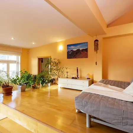 Apartment Perunova
